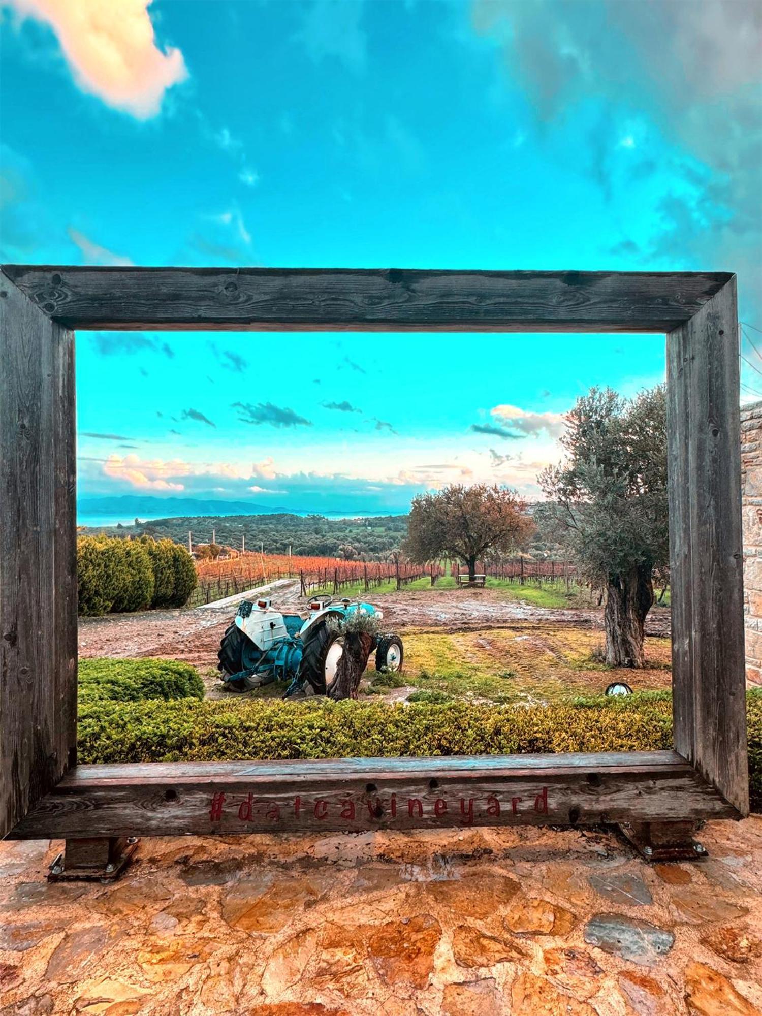 Datca Vineyard Guesthouse Екстериор снимка